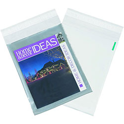 Clear View Poly Mailers/