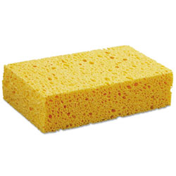 Sponges/