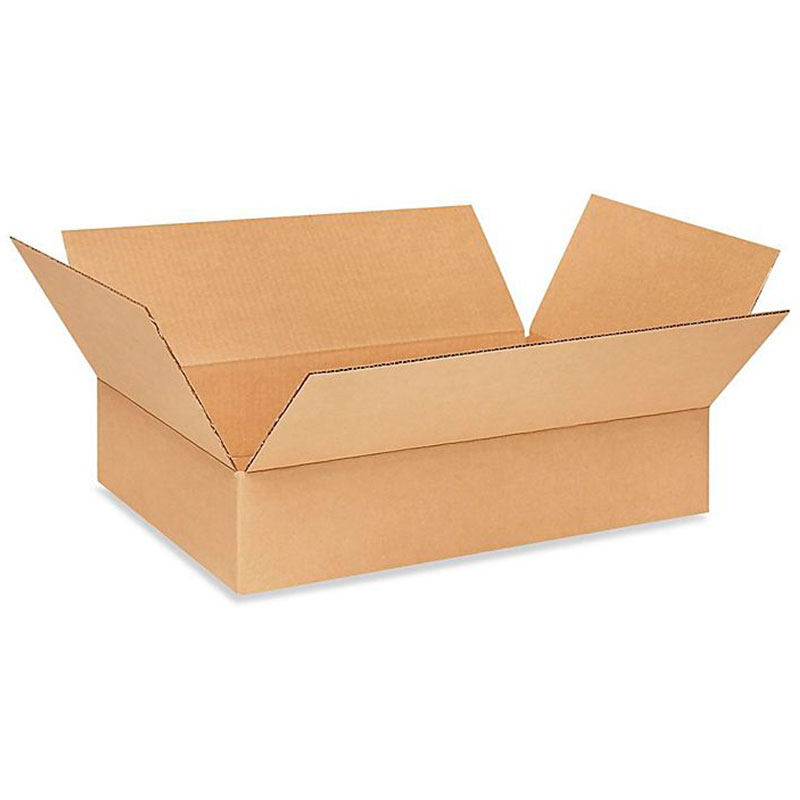20" x 14" x 4" Corrugated Box