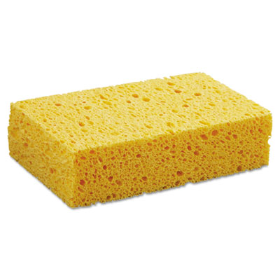 Medium Sponge. 24/Cs